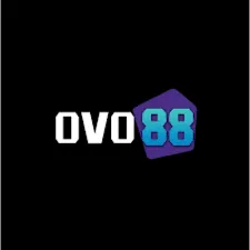 ovo88